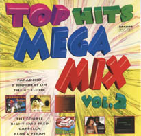 Top Hits Megamix Vol.2